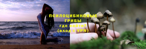 хмурый Алзамай